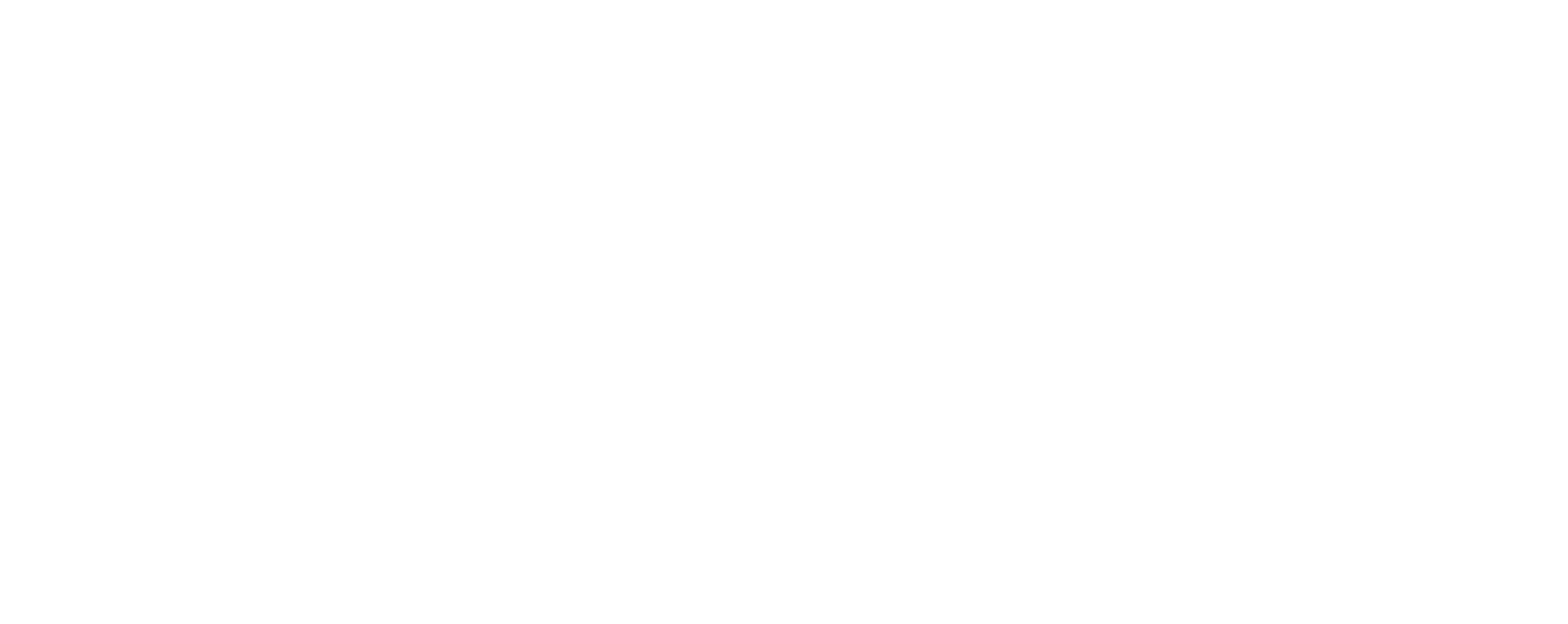 Northern Lights-logo